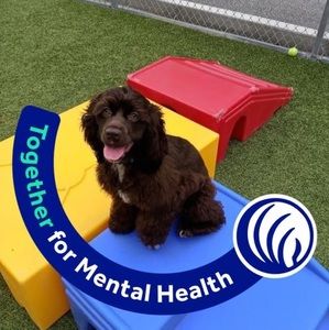 Meet your Posher, Terri